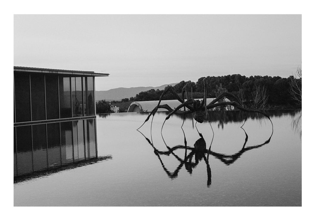 Louis Bourgeois, Maman