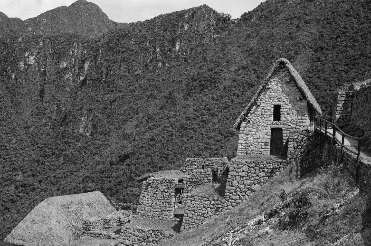 Machu Picchu III