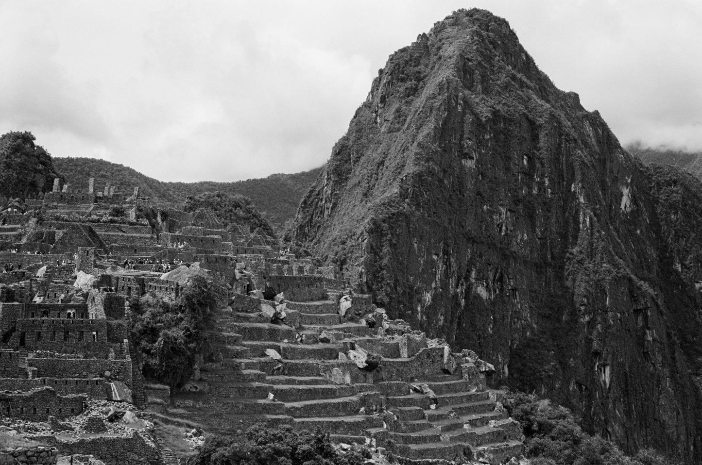 Machu Picchu