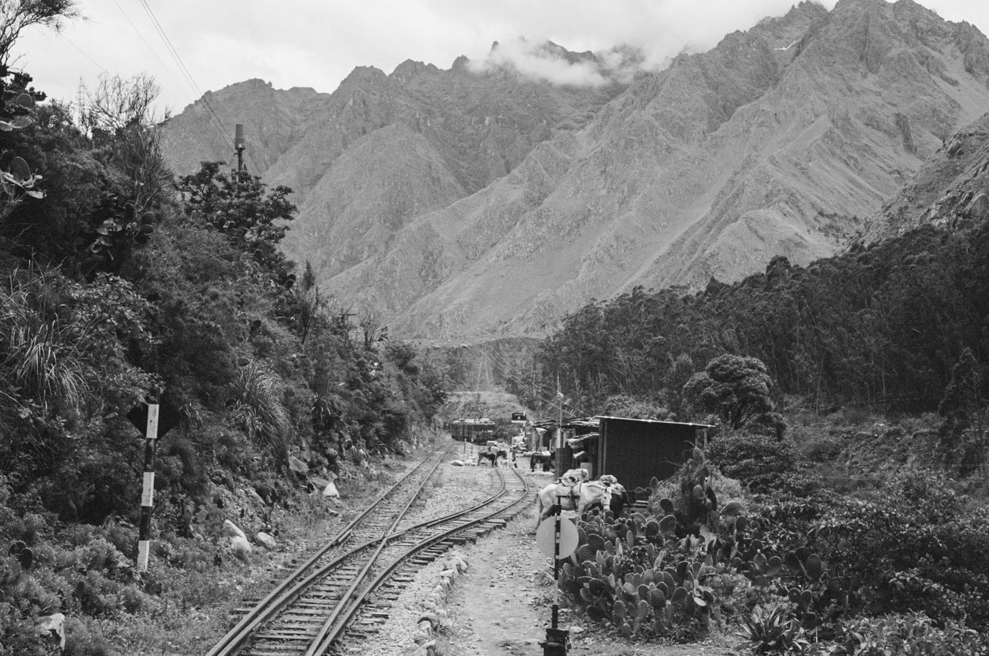 Peru Trail II