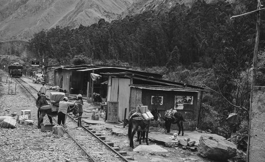 Peru Trail I