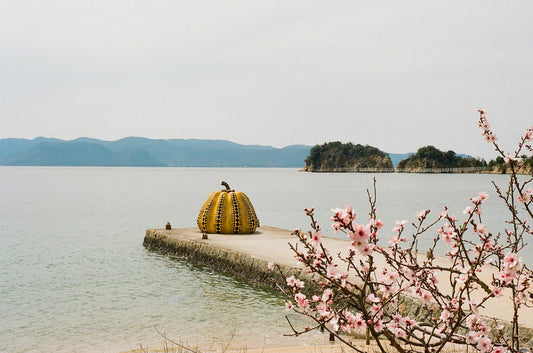 Yayoi at home