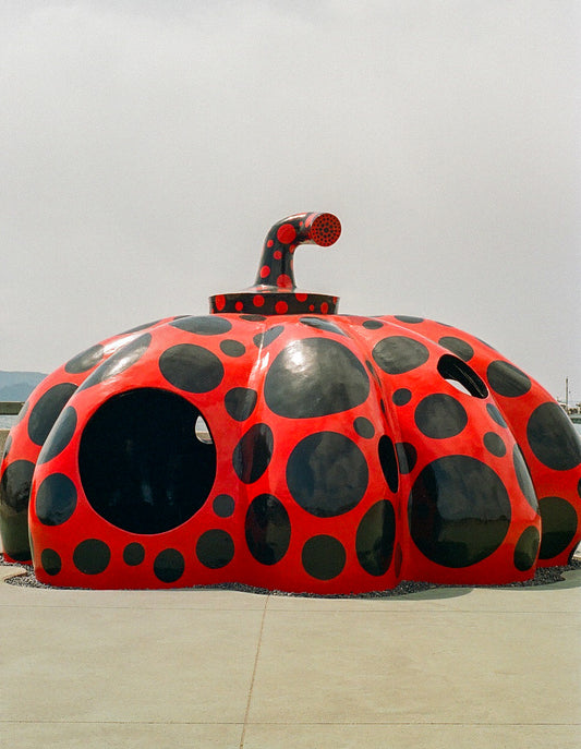 Yayoi at home II